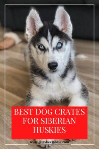 Best Dog Crates for Siberian Huskies