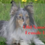 old names for female dogs