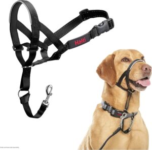 Halti Collar for Keeshonds