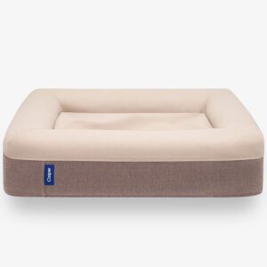 Casper Dog Bed A Luxurious Memory Foam Haven