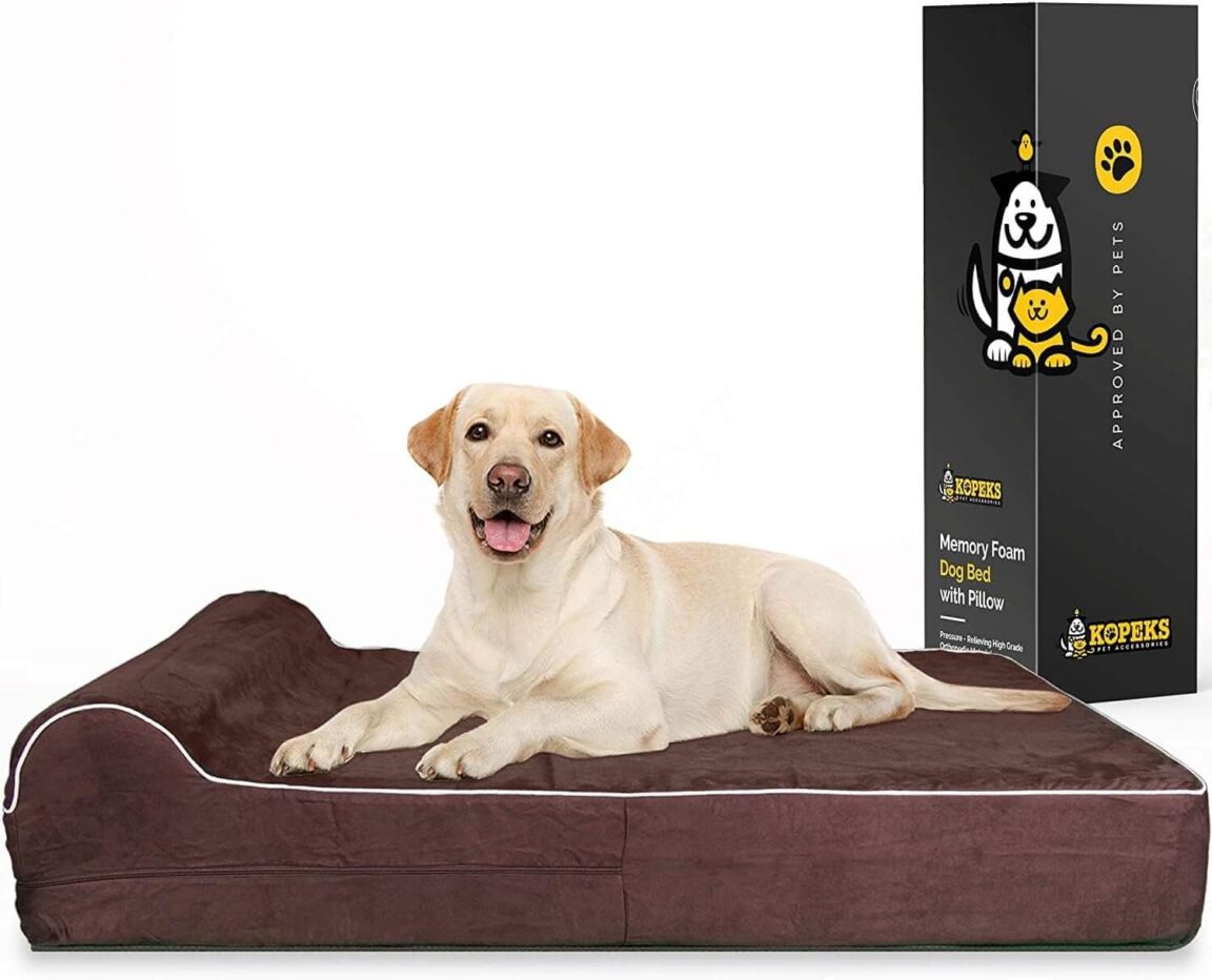 Fresh Look at 8 Best Dog Beds For Lhasa Apsos In 2025 Ultimate