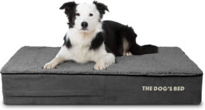The Dog's Bed Orthopedic Bed Best for Hard Floors