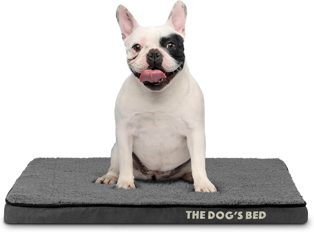 The Dog's Bed Orthopedic Bed Best for Small Senior Dogs