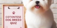 Cotonese Dog Breed Quiz
