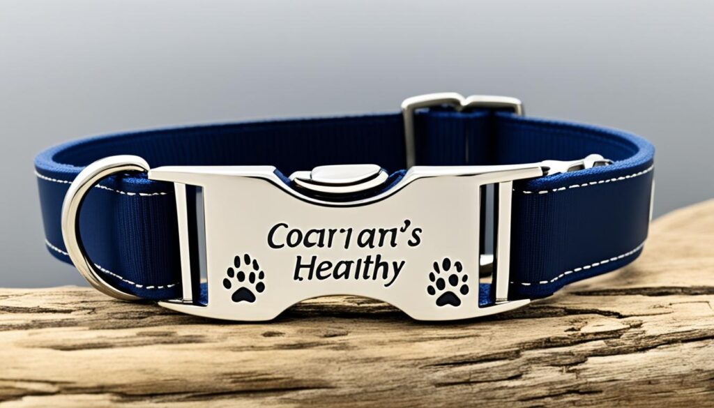 Best Dog Tags That Fit on The Collar Secure Pet ID Solution