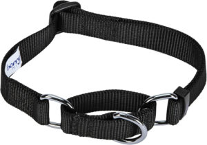 Blueberry Pet Essentials Martingale Safety Training Dog Collar