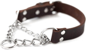 Mighty Paw Martingale Dog Collar