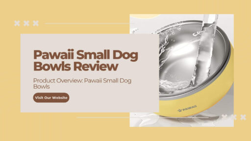 Food Water Bowl Designed for Puppies