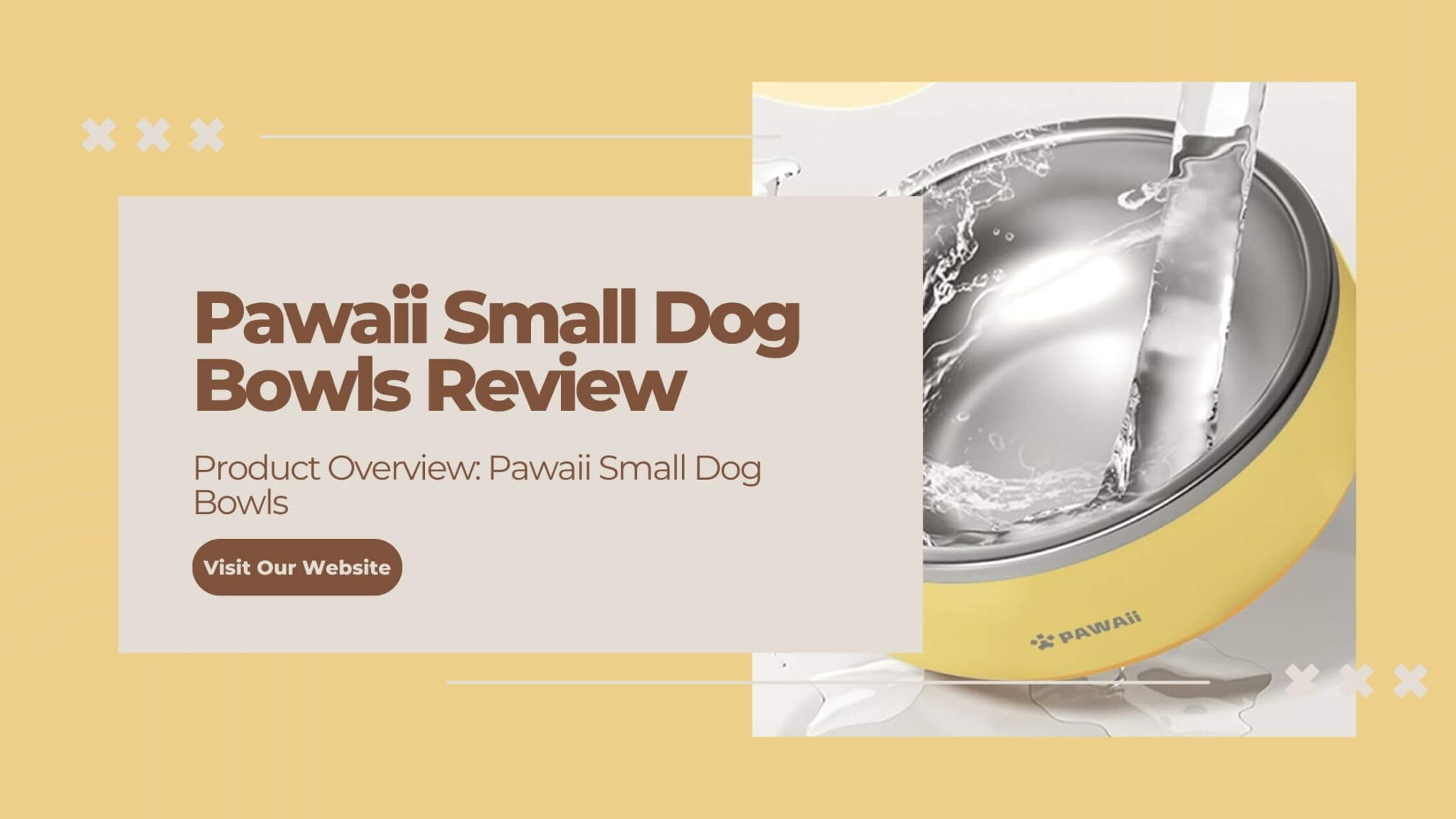 Food Water Bowl Designed for Puppies