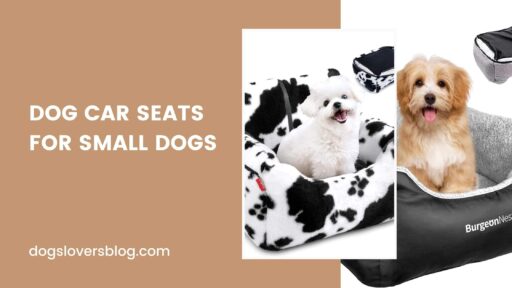 Dog Car Seats for Small Dogs