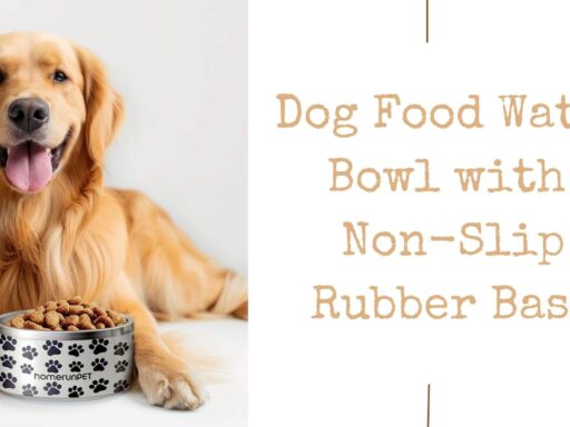 Dog Food Water Bowl with Non-Slip Rubber Base