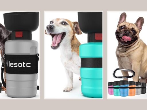 Leak Proof Dog Travel Water Bottle