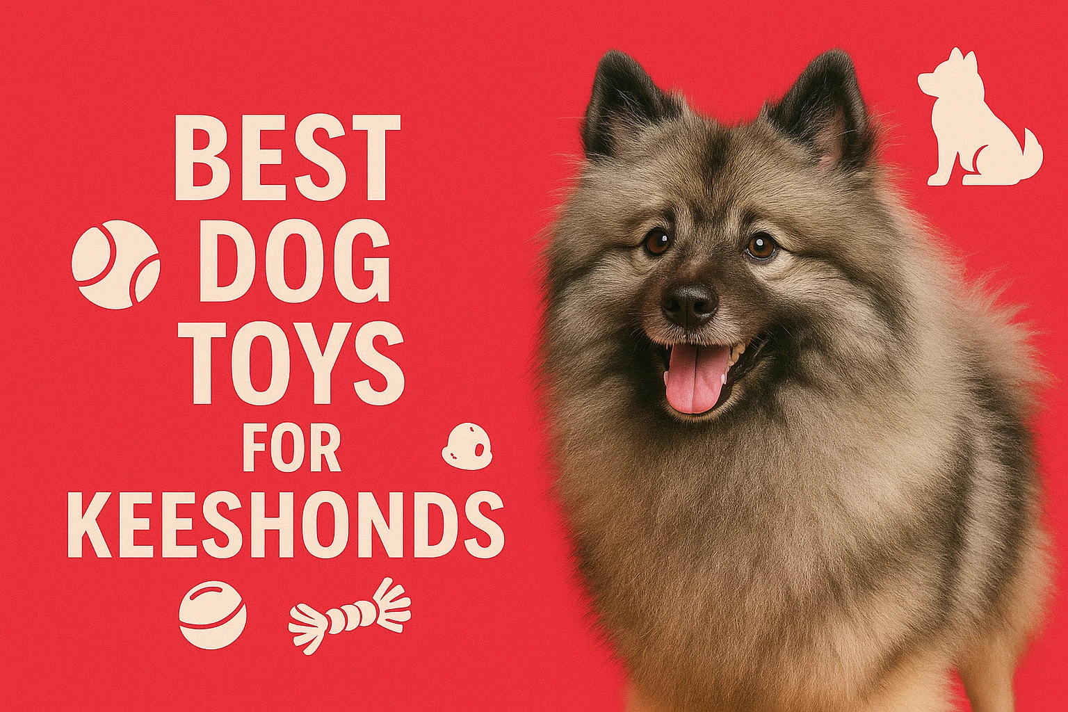 Best Dog Toys for Keeshond