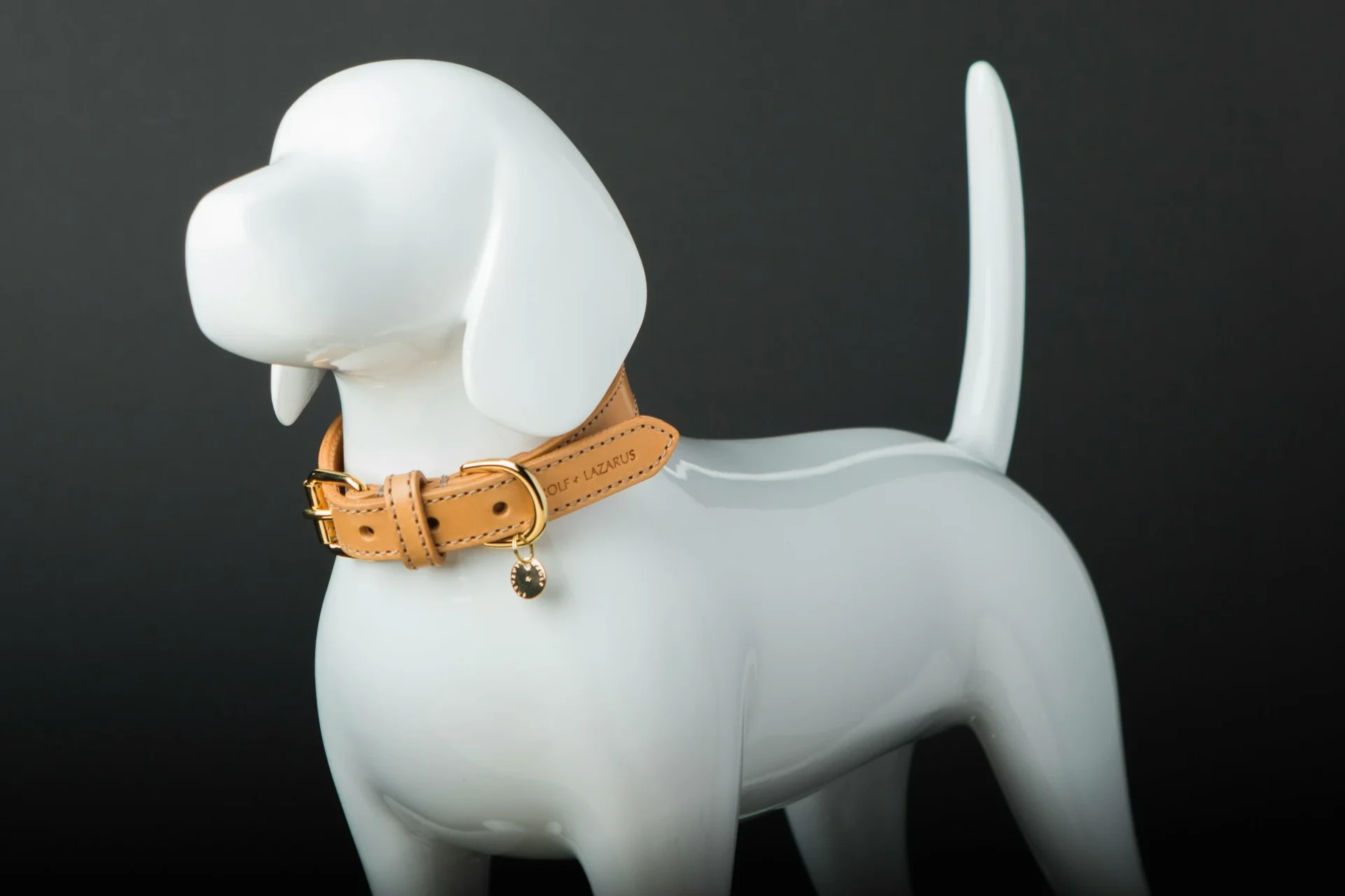 Dog Collar Sizing Guide