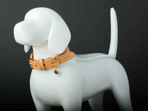 Dog Collar Sizing Guide